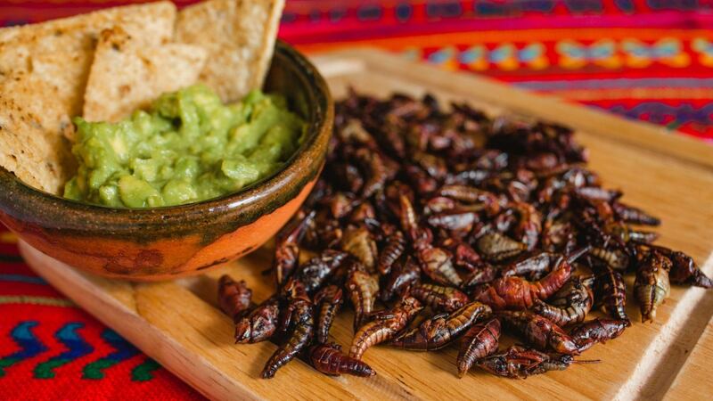 Joven mexicana tiene miles de euros en el banco, al vender chapulines fritos.