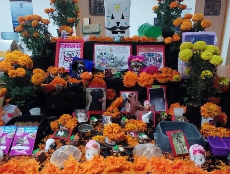 Ofrenda de Muertos Animales