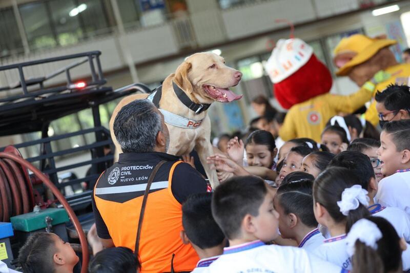 Mascotas y botargas convivieron con los chicos de la escuela primaria.