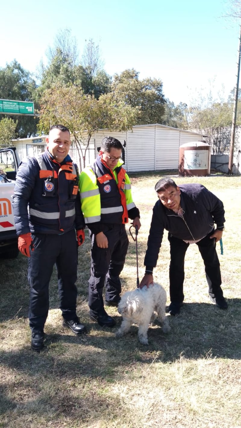 Rescate de perrito en estación Oceanía de la Línea B del Metro