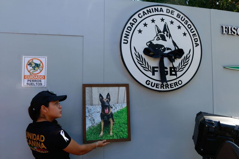 Fiscalía de Guerrero homenajea a agente canino Nidan