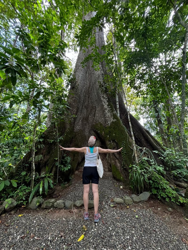 Conoce este eco-resort ubicado en Puerto Jiménez, Costa Rica donde la conservación y el lujo se fusionan en un entorno natural impresionante. Desde caminatas por la selva hasta cenas gourmet con ingredientes locales, este destino sorprenderá al ecoturista