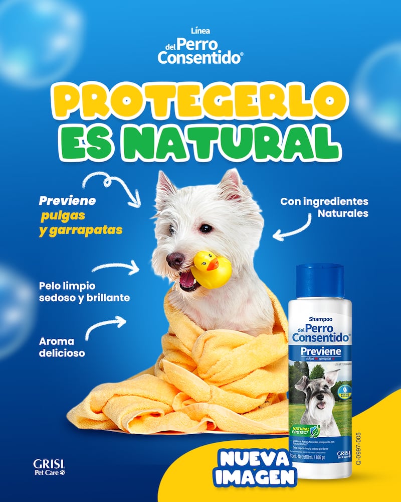 Shampoo Del Perro Consentido