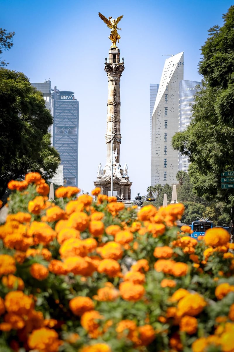 Día de Muertos Paseo de la Reforma