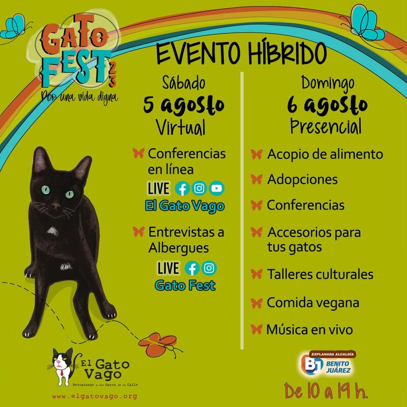 Gato Fest 2023 CDMX