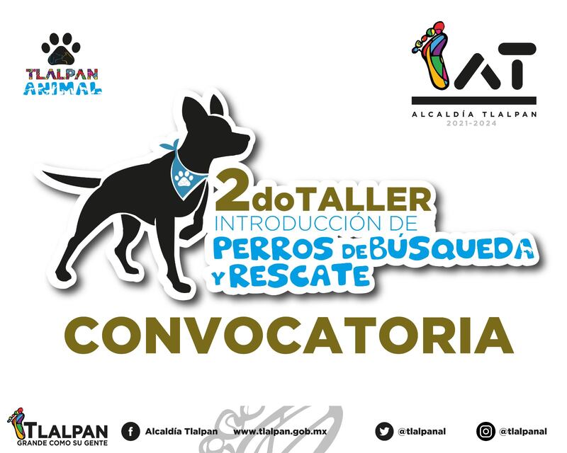 Taller Perros de rescate