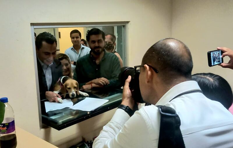 La iniciativa pide que cada municipio del Estado tenga un centro de control canino manejado por profesionales.