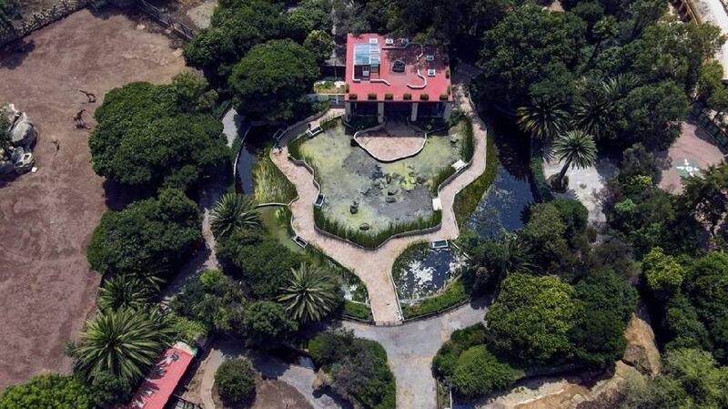 Museo del Ajolote en Chapultepec