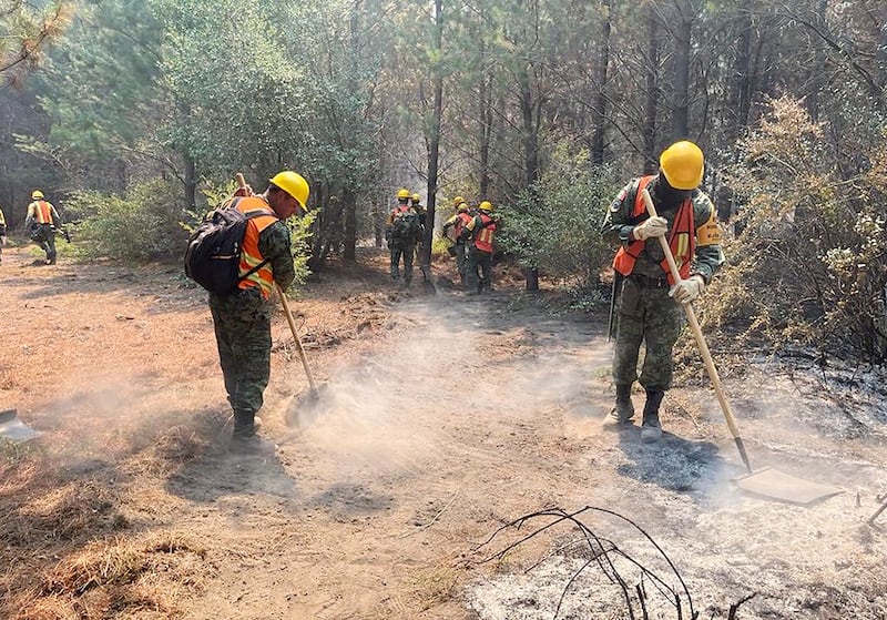 incendios en bosques