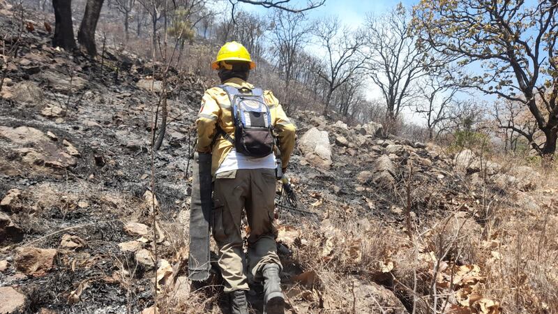 Los cuerpos han trabajado sin descanso desde ayer para contener el avance del fuego.