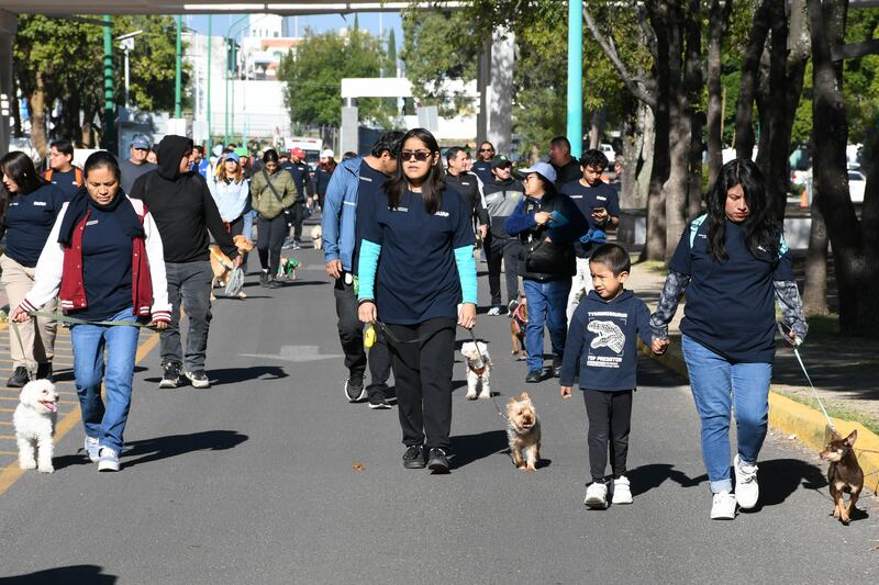 CAETO, modelo de atención emocional para los jóvenes