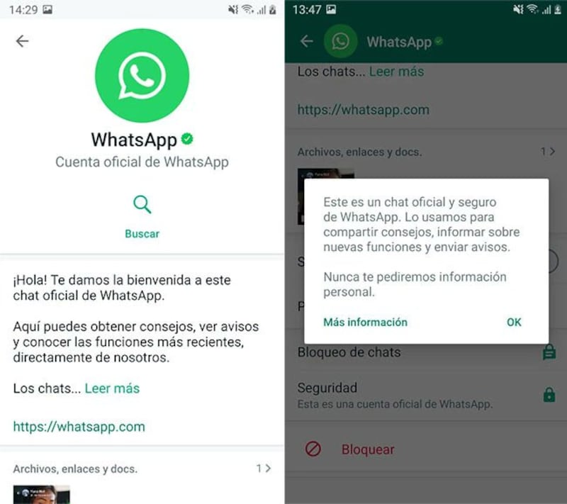 WhatsApp-chat-oficial