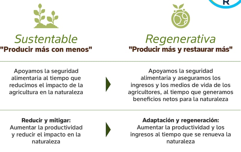 agricultura-regenerativa-sustentable-ahorro-recursos-agua-ambiente-alimentos-campo