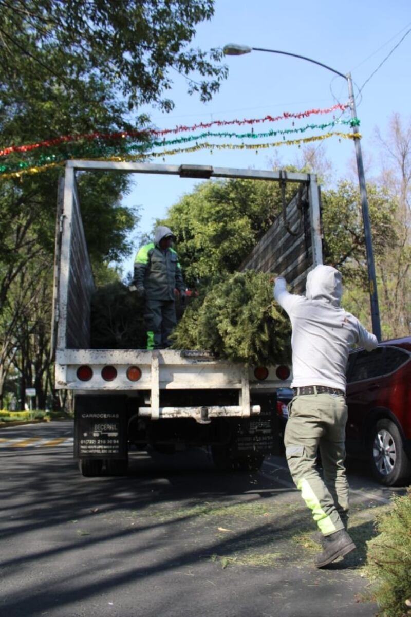 Recicla árbol de navidad