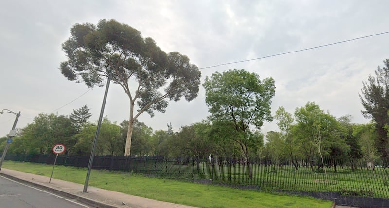 Vista previa del área verde en dónde se construye la estación Panteón Dolores de la Línea 3 del Cablebús.