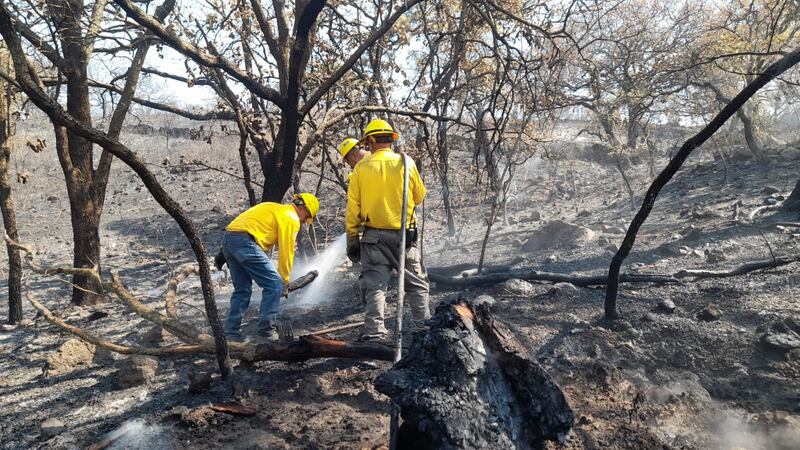 La humareda generada por el incendio cubrió en las últimas horas la parte norte de la Zona Metropolitana de Guadalajara.