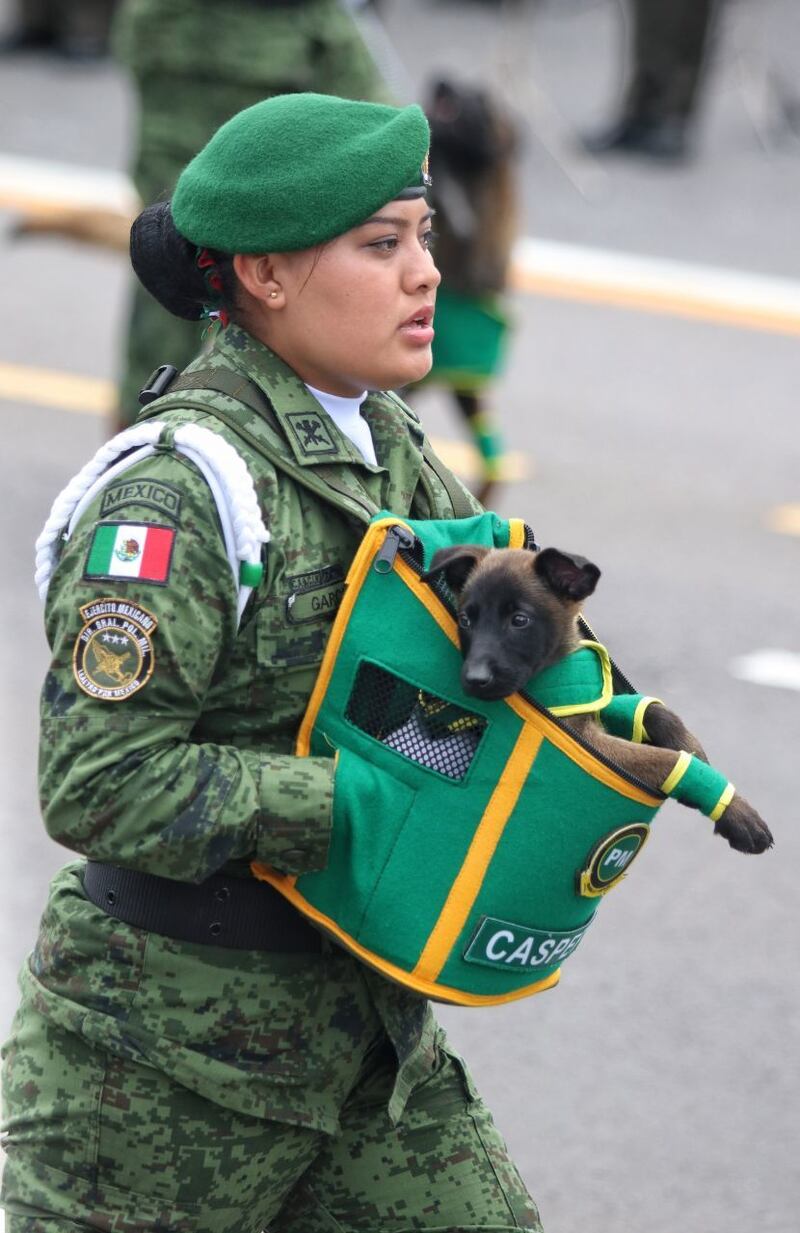 Desfile militar: Guardia Nacional y militares ensayan