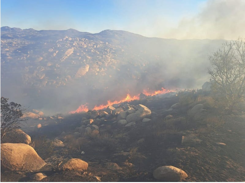 Tecate incendio forestal