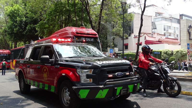 Caída de árbol en Insurgentes deja daños materiales y afectación vial