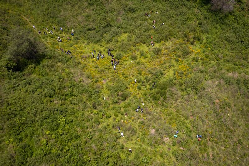 Reforestación de la Barranca de Tarango