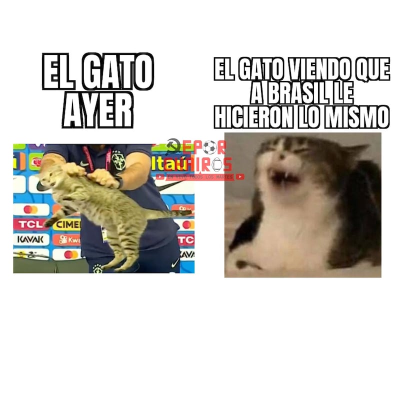 Los memes no perdonaron la derrota de Brasil