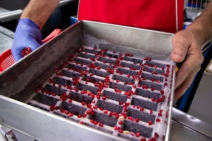 Paletas de Nogada, una nueva tradición en la Ciudad de México.