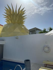 Así se vive el verano con Bob Esponja en Punta Cana