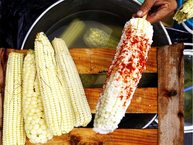 Elote