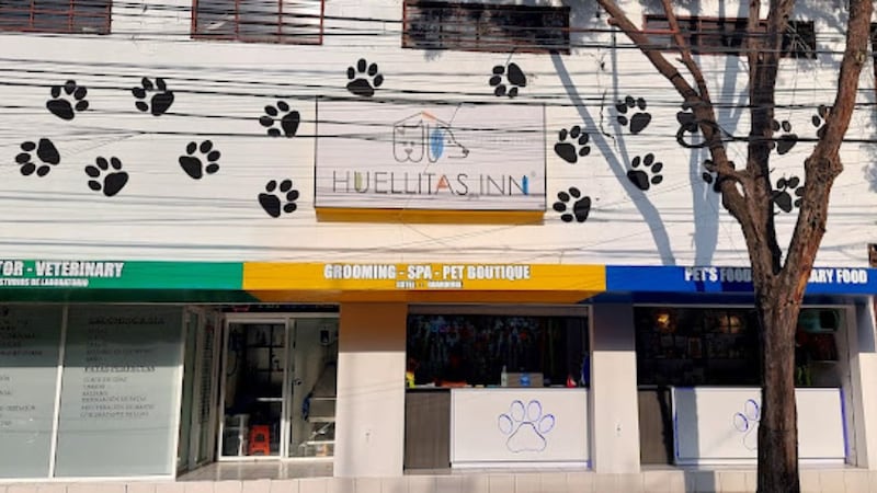 Huellitas Inn: Asesinan a perro en guardería para mascotas en Benito Juárez