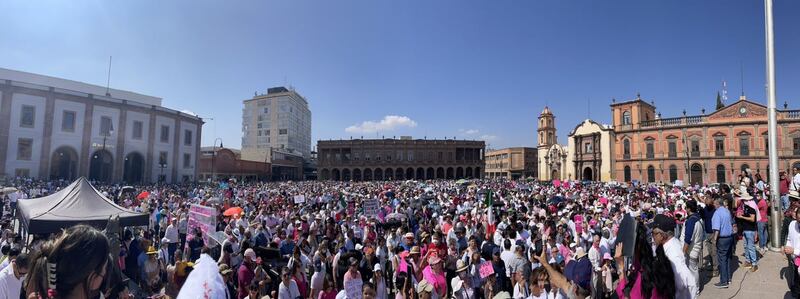 INE marcha SLP