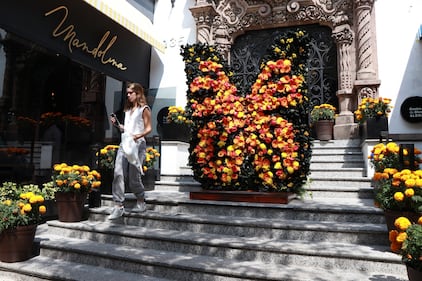 Tras dos años de ausencia las flores han regresado a colorear las calles de Polanco, en la Ciudad de México.