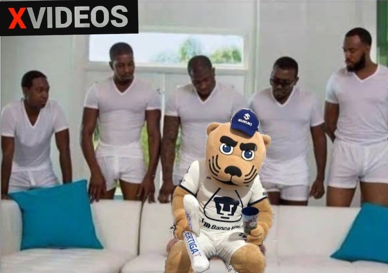 Pumas_memes