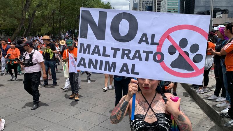 No al maltrato animal