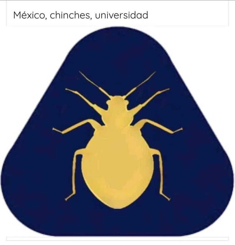 Memes por plaga de chinches en facultades de la UNAM
