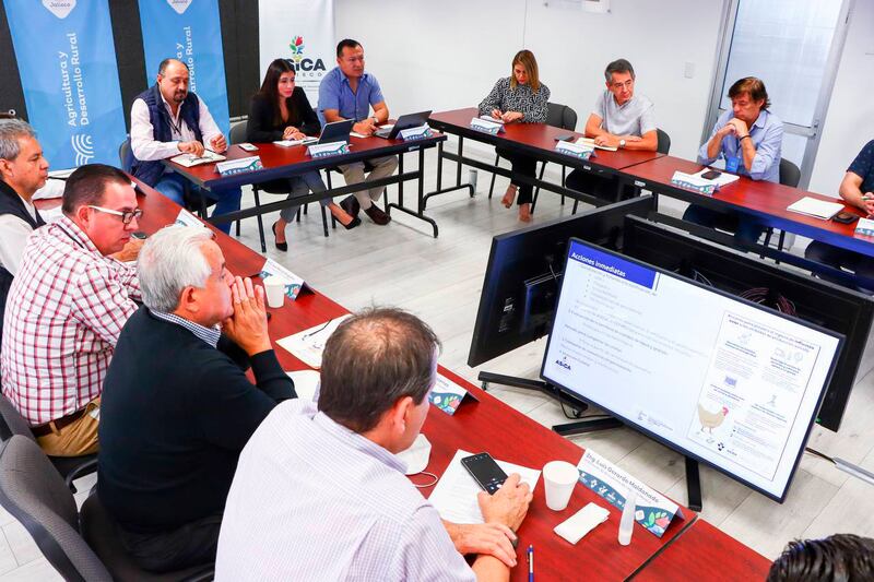 Recientemente autoridades han sostenido reuniones para tratar de contener la llegada de esta cepa a Jalisco.