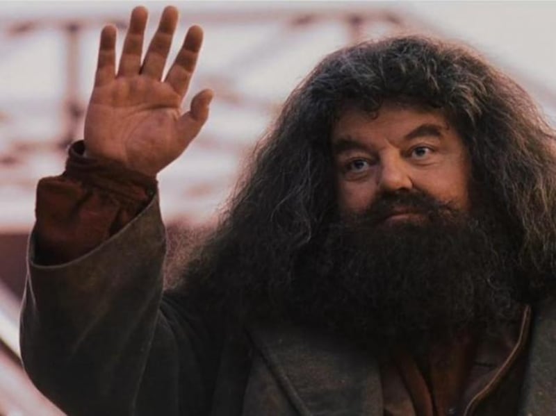 Hagrid en Harry Potter