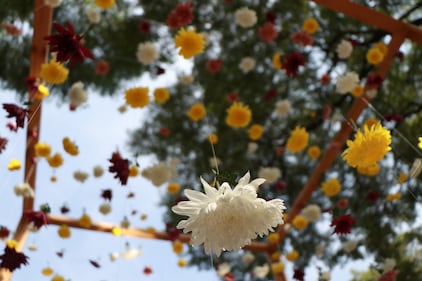 Tras dos años de ausencia las flores han regresado a colorear las calles de Polanco, en la Ciudad de México.