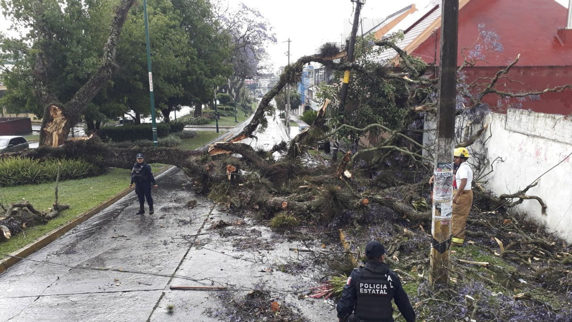 Cuitláhuac García anuncia reforzamiento de operativos ante tormenta Alberto