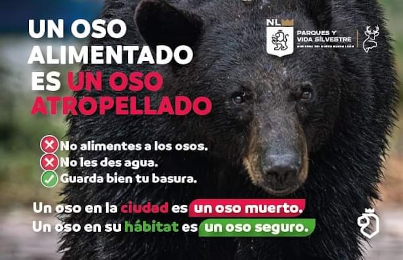 Parques y Vida Silvestre recomienda no alimentar a las especies salvajes, como los osos.