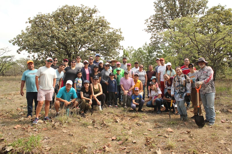 Plantarán 30 mil árboles en La Primavera.