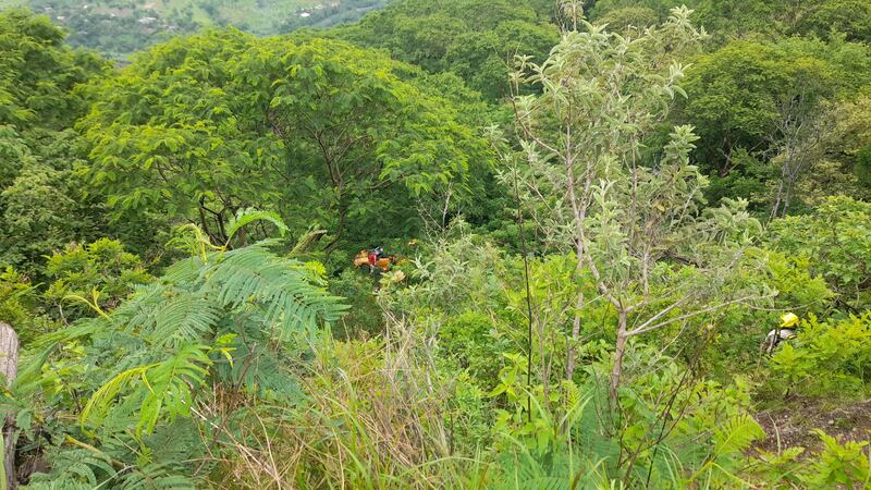 El coche compacto cayó desde un barranco de 50 metros de altura.