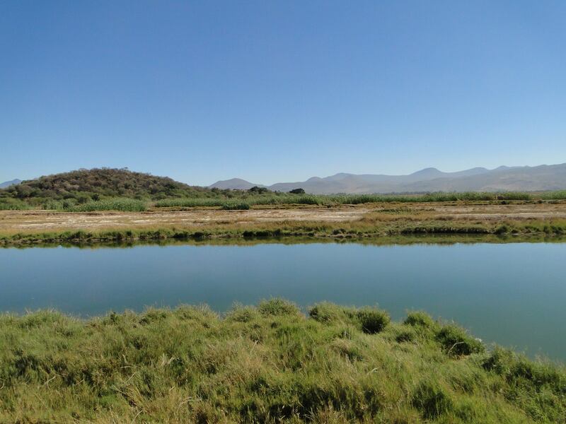 Las dos cuencas que abastecen a Guadalajara, la Presa Calderón y el Lago de Chapala, lentamente están reduciendo su nivel.