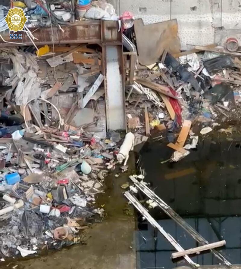 Rescatan a perro que vivía en predio inundado en colonia Roma