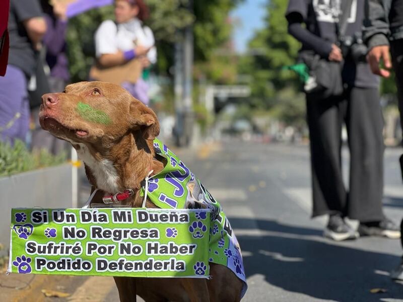 Marcha del 8M en Guadalajara, Jalisco