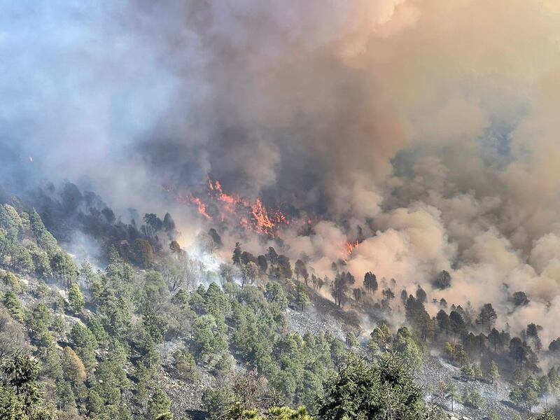 Abaten más de 600 incendios forestales en el Edomex