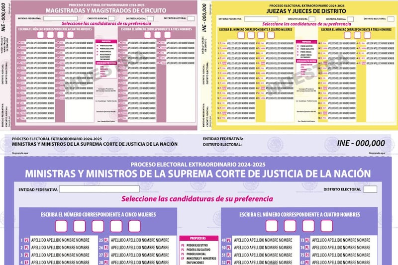 Proceso electoral 2025