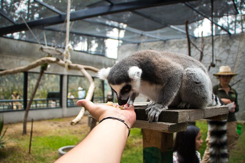 Parque Ecológico Edomex