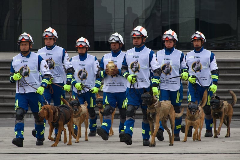 Frida: Secretaría de Marina ofrece ceremonia en honor a perrita