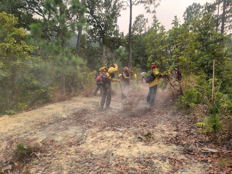 Autoridades se están apoyando de la aeronave Witari para realizar descargas y trasladar a los combatientes.