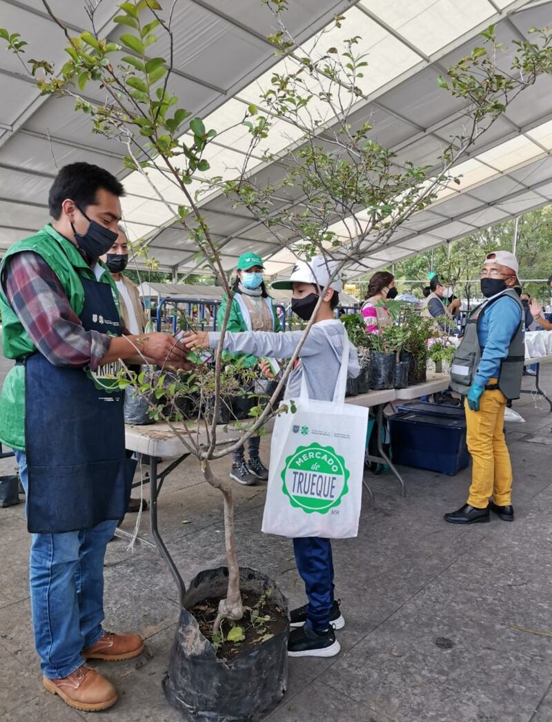 Mercado de Trueque de residuos por hortalizas y plantas